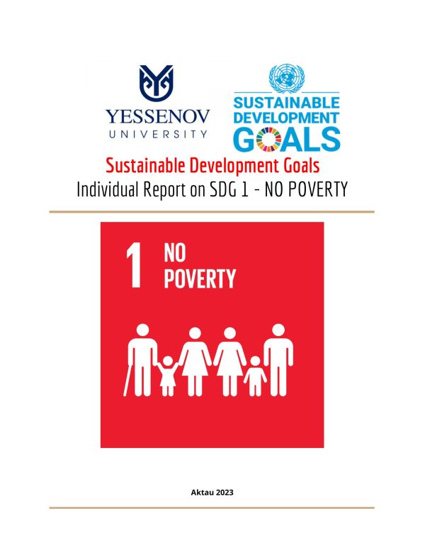 sdg-1-report-1-600×776