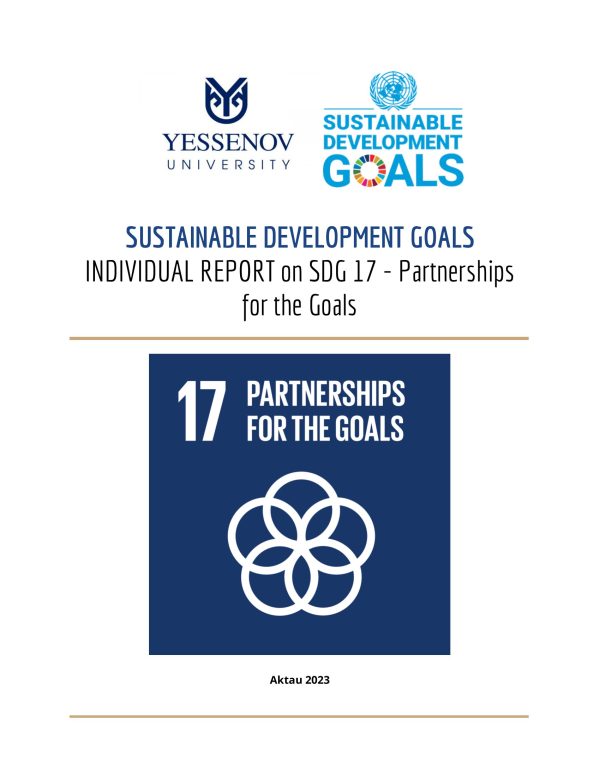 sdg-17-report-1-600×776