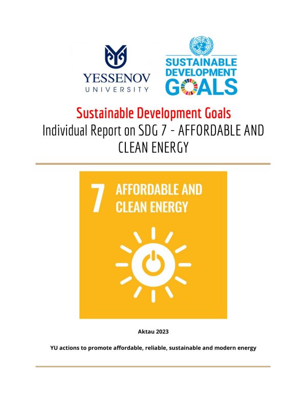 sdg-7-report-1-600×776