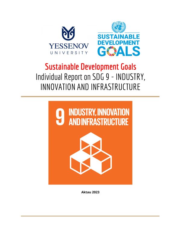 sdg-9-report-1-600×776